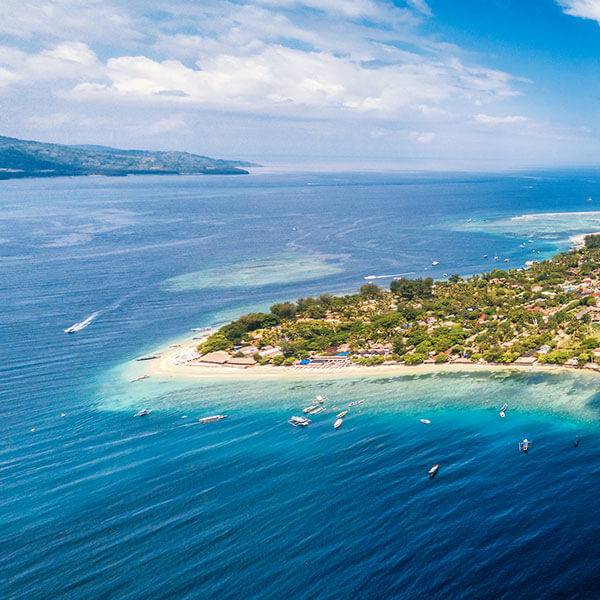 Combat Climate Change